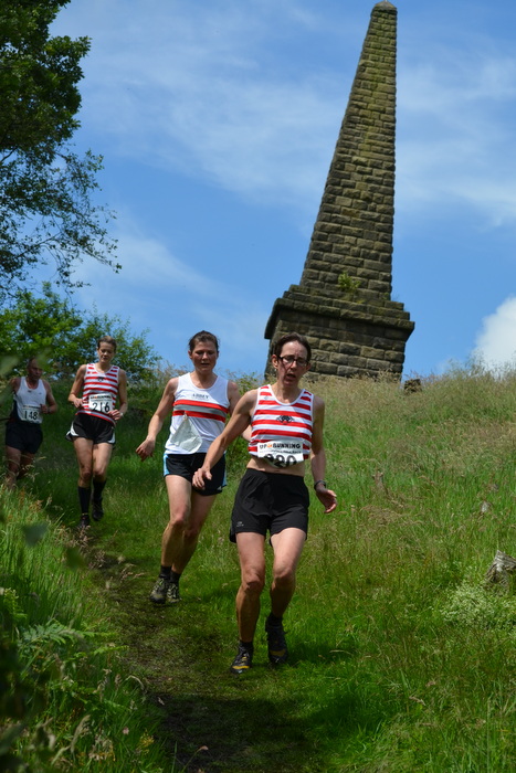 Photo DSC_0533.JPG copyright © 2025 Woodentops