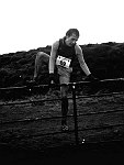 Click on thumbnail for larger photo
