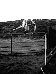Click on thumbnail for larger photo