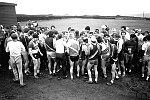Click on thumbnail for larger photo